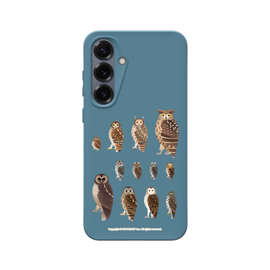 Miniature Field Guide-Owls(Clear)