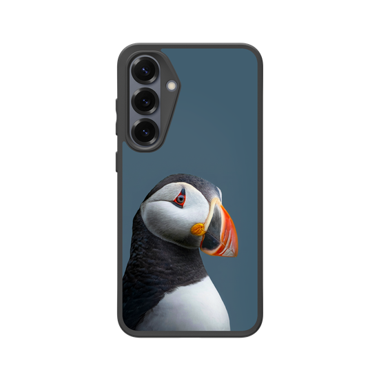 Puffin