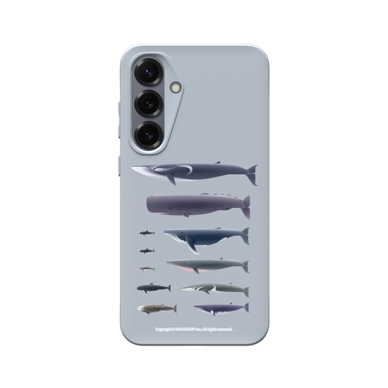 Miniature Field Guide-Whale(Clear)