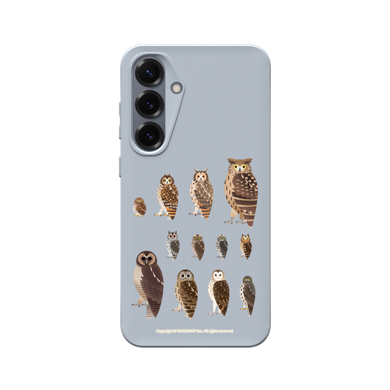 Miniature Field Guide-Owls(Clear)