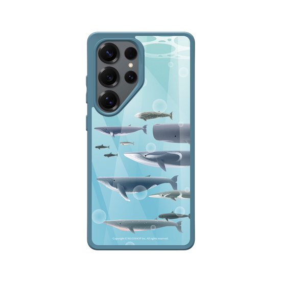Miniature Field Guide-Whale(Color)