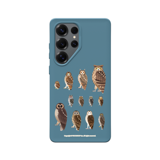 Miniature Field Guide-Owls(Clear)