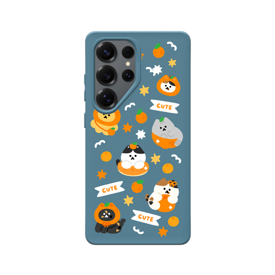 Orange Cat 🍊