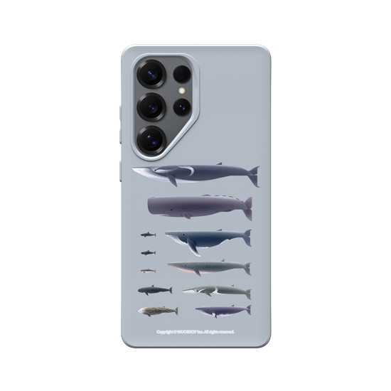 Miniature Field Guide-Whale(Clear)