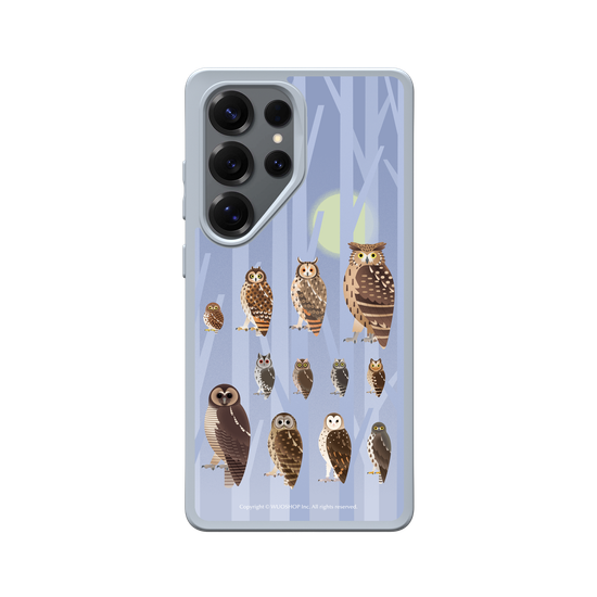 Miniature Field Guide-Owls(Color)