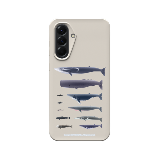Miniature Field Guide-Whale(Clear)