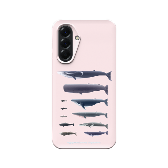 Miniature Field Guide-Whale(Clear)