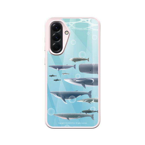 Miniature Field Guide-Whale(Color)