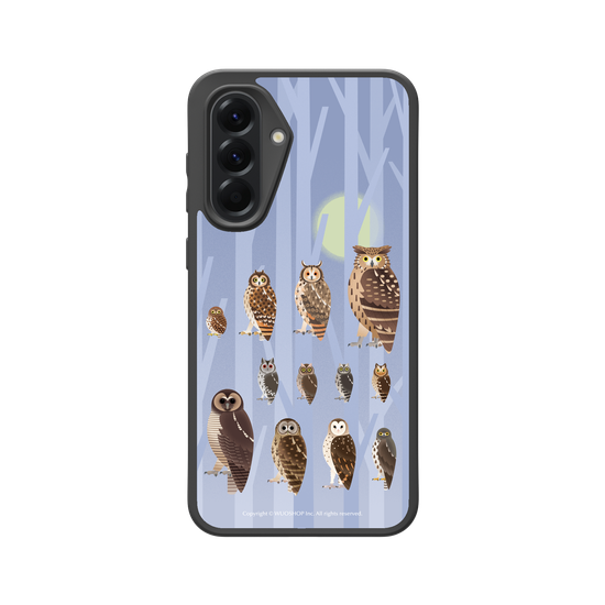 Miniature Field Guide-Owls(Color)