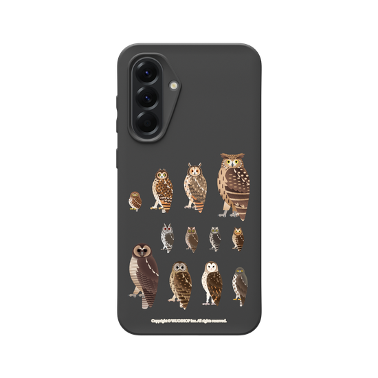 Miniature Field Guide-Owls(Clear)