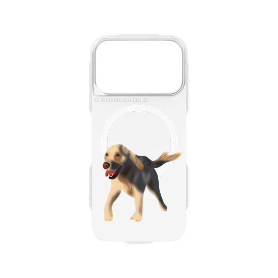 Dog - Golden Retriever