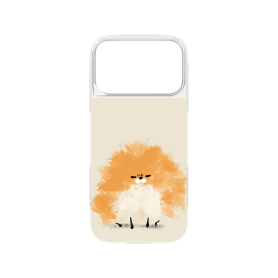 Grumpy Pomeranian