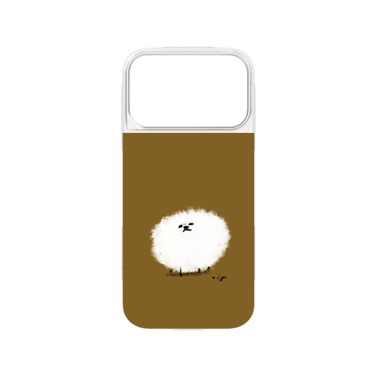A spherical Pomeranian
