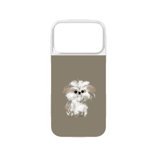 A little Shih Tzu