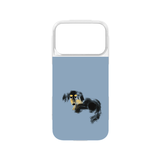 a tiny dachshund