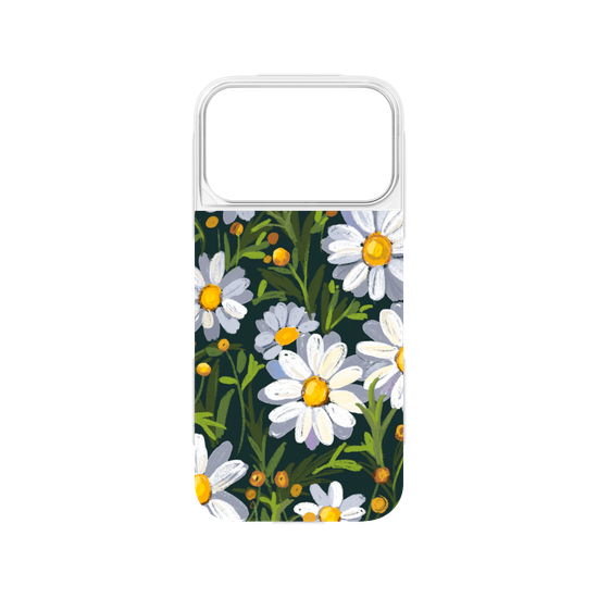 Sunny Daisy field