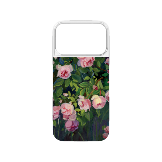 Dreamy Climbing roses