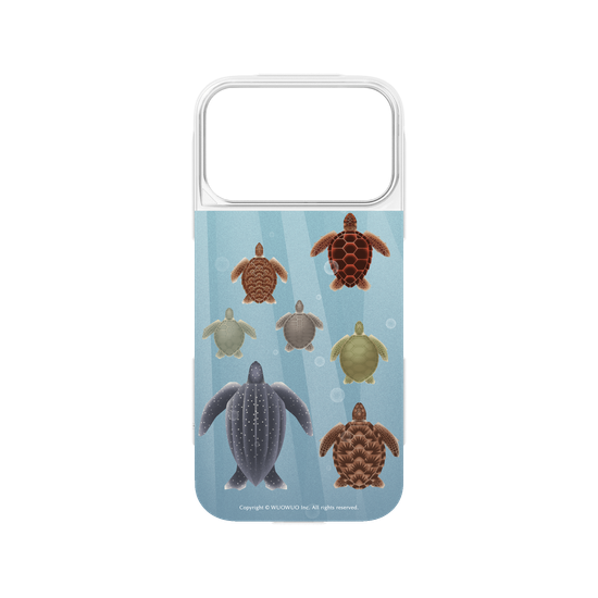 Miniature Field Guide-Sea ​​Turtle(Color)