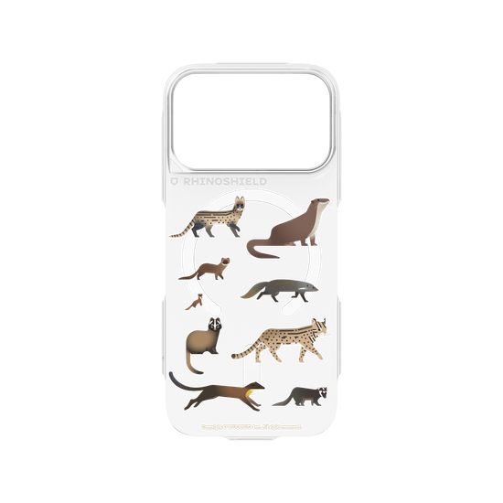 Miniature Field Guide-Carnivora(Clear)