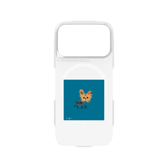 A tiny Yorkie
