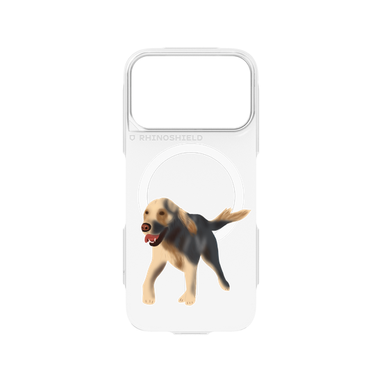 Dog - Golden Retriever