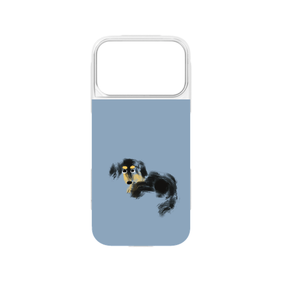 a tiny dachshund