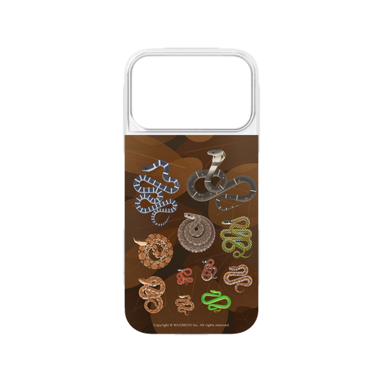 Miniature Field Guide-Snakes(Color)