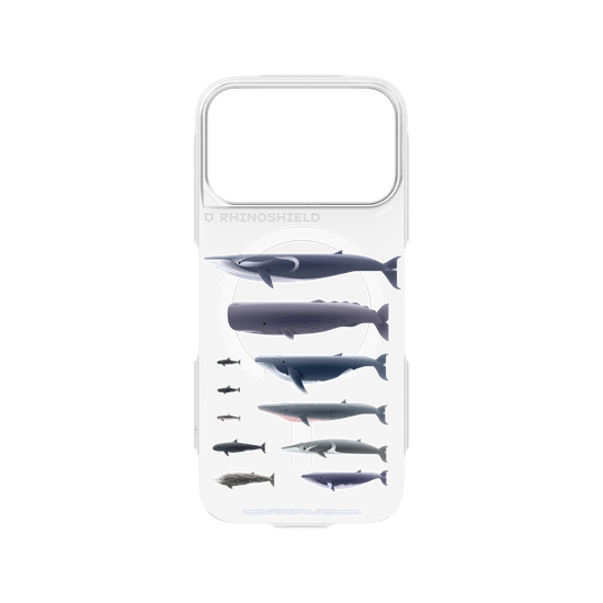 Miniature Field Guide-Whale(Clear)