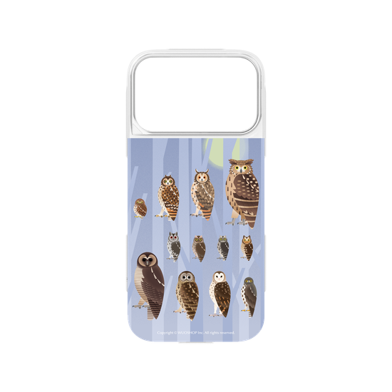 Miniature Field Guide-Owls(Color)