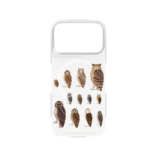 Miniature Field Guide-Owls(Clear)