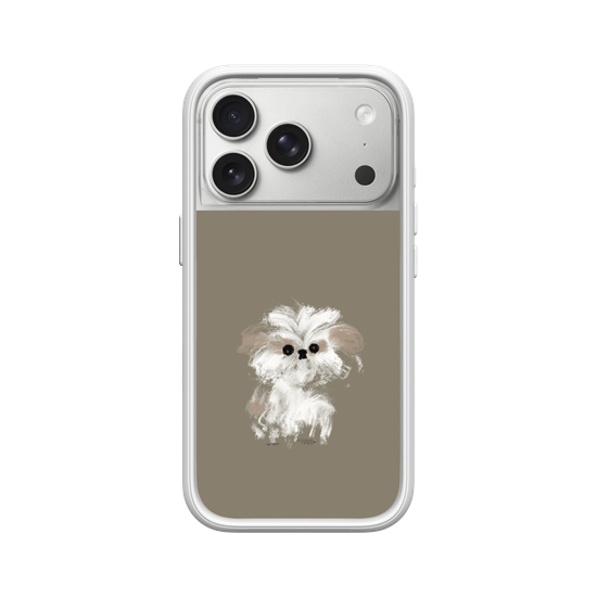 A little Shih Tzu
