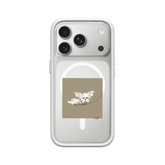 small white dog