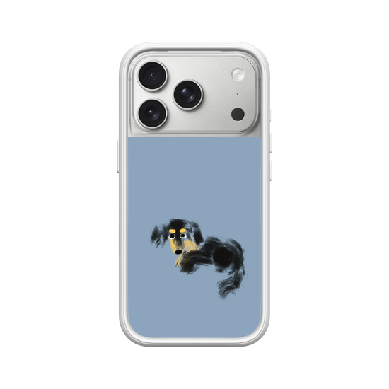 a tiny dachshund