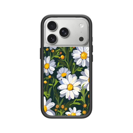 Sunny Daisy field