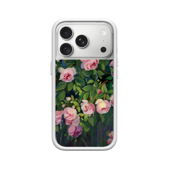 Dreamy Climbing roses
