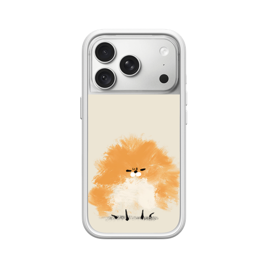 Grumpy Pomeranian