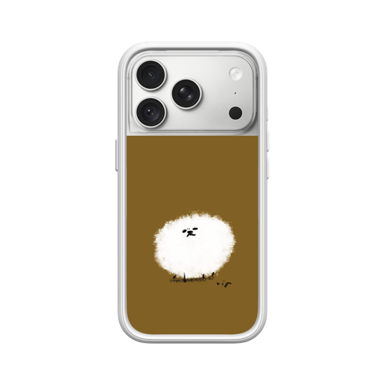 A spherical Pomeranian