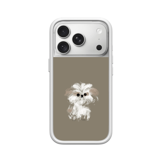 A little Shih Tzu