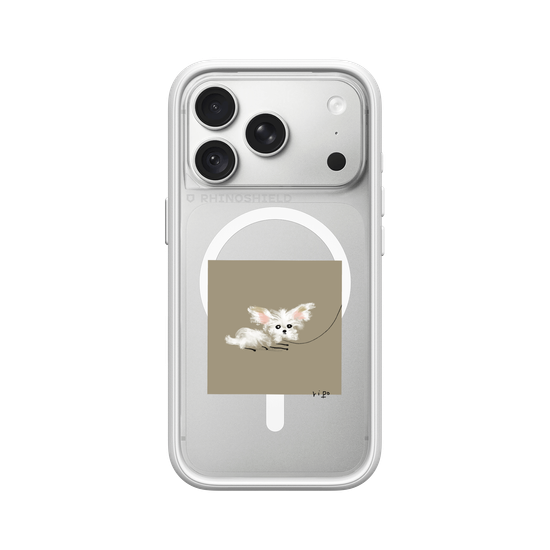 small white dog