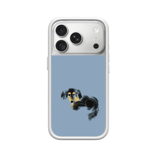 a tiny dachshund