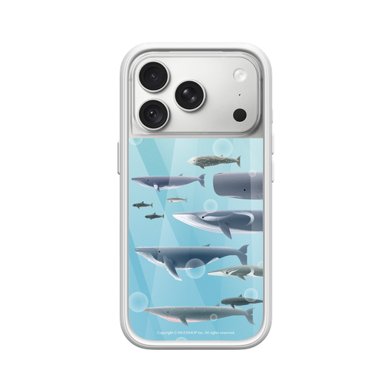 Miniature Field Guide-Whale(Color)