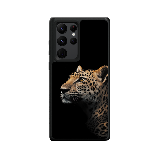 Indochinese Leopard