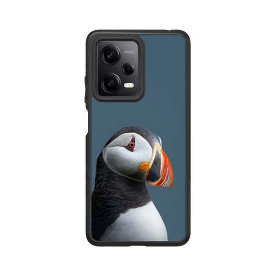 Puffin