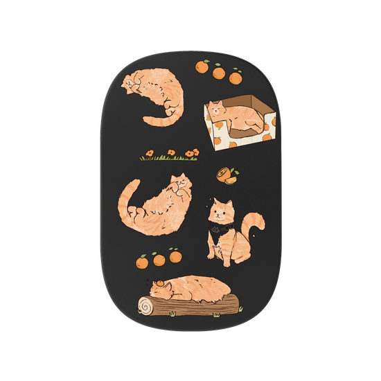 Shooley's orange cat