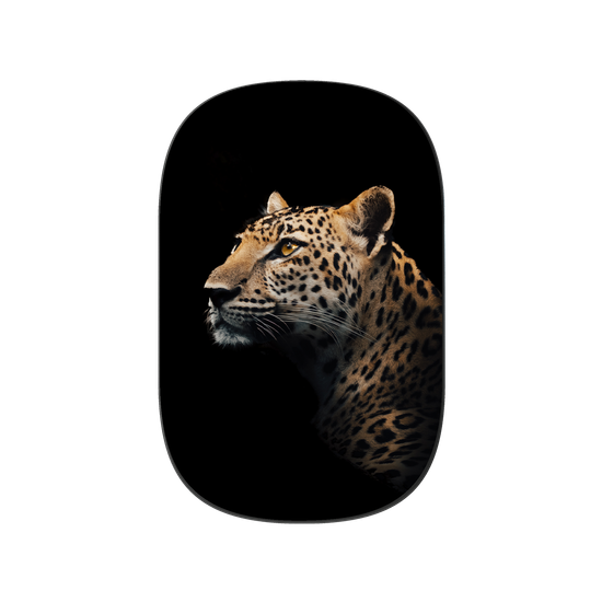 インドシナヒョウ