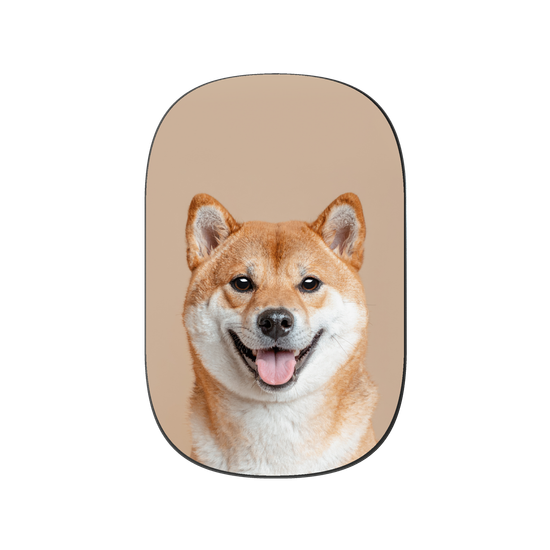 Shiba Inu
