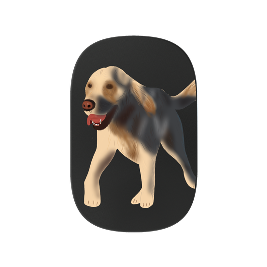 Dog - Golden Retriever