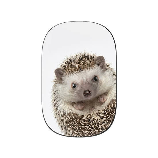 Hedgehog