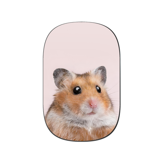 Hamster